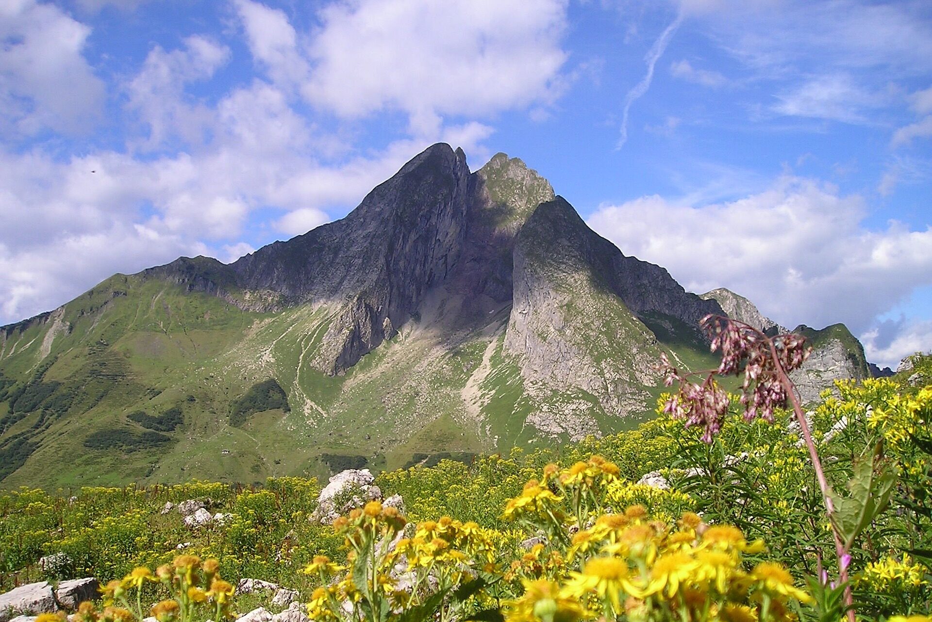 Blick auf eine markante, tief zerklüftete Kalkstein-Zwillingsspitze (wie die Formation aus Bild 4) bei tiefstehender, goldener Abendsonne, mit einem Vordergrund aus blühenden gelben Alpenblumen und einer weiten Sicht auf die Alpen-Karstlandschaft.